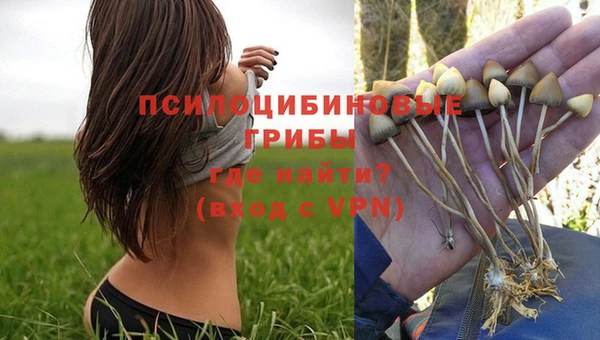 эйфоретик Алзамай
