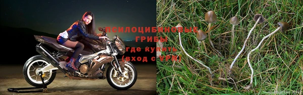 дмт Алексин