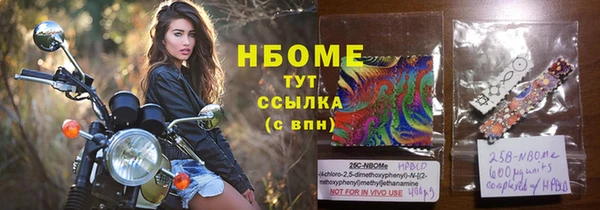 эйфоретик Алзамай
